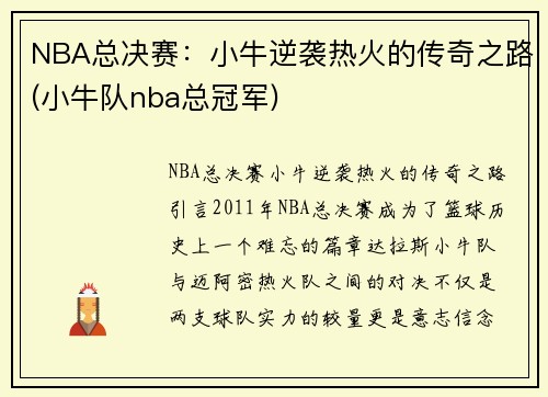NBA总决赛：小牛逆袭热火的传奇之路(小牛队nba总冠军)
