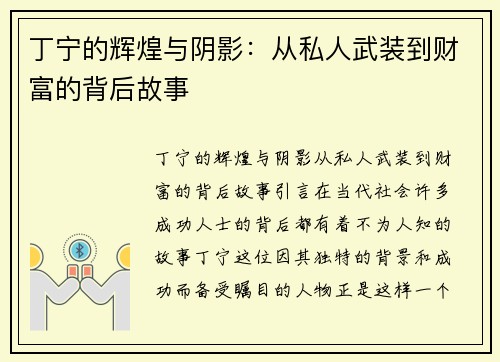 丁宁的辉煌与阴影：从私人武装到财富的背后故事