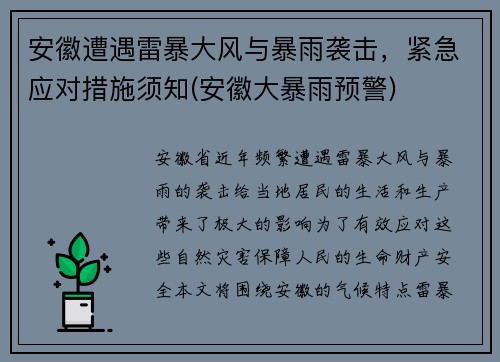 安徽遭遇雷暴大风与暴雨袭击，紧急应对措施须知(安徽大暴雨预警)