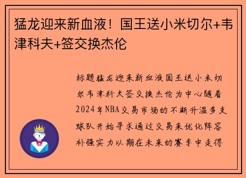 猛龙迎来新血液！国王送小米切尔+韦津科夫+签交换杰伦