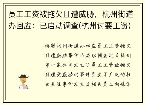 员工工资被拖欠且遭威胁，杭州街道办回应：已启动调查(杭州讨要工资)